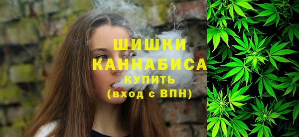 apvp Кодинск