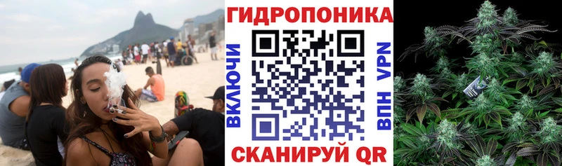 Бошки Шишки конопля сколько стоит Беломорск